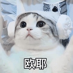 猫咪黑下巴怎么预防？