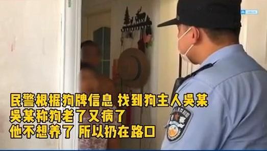 狗狗因年老被弃路边还被车撞主人：狗老了不想养了警方：罚